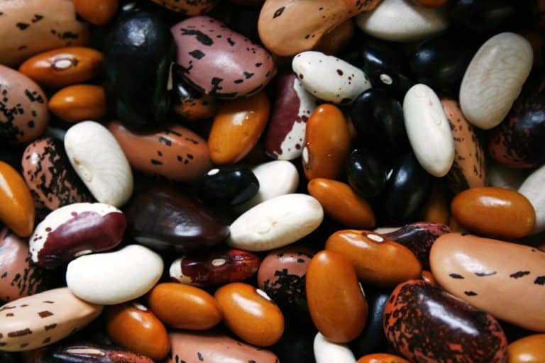 Are Beans Healthy for Men?