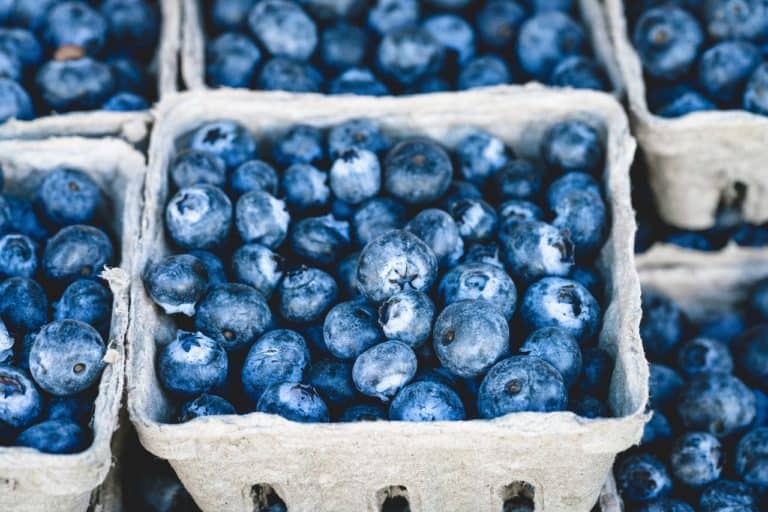 Are Blueberries Healthy For Men?