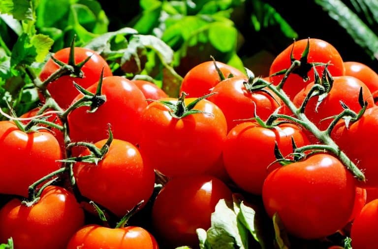 Eating Tomatoes for Heart and Prostate Health