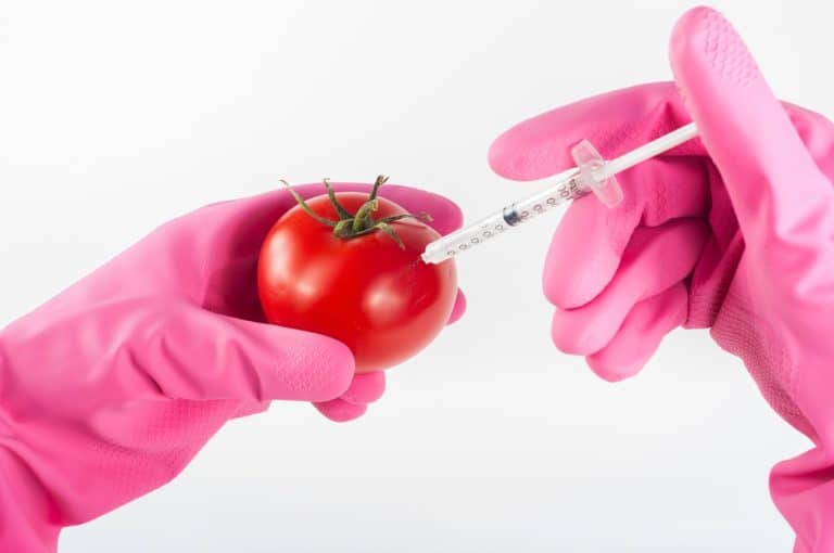 How To Avoid GMO Foods?