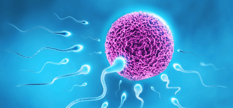 How Does Diet Affect Sperm?