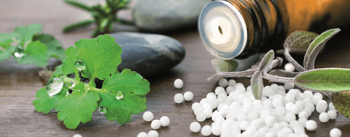 homeopathy treatment for prostatitis