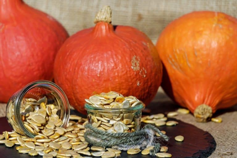 Treating Prostatitis with Pumpkin Seed Oil